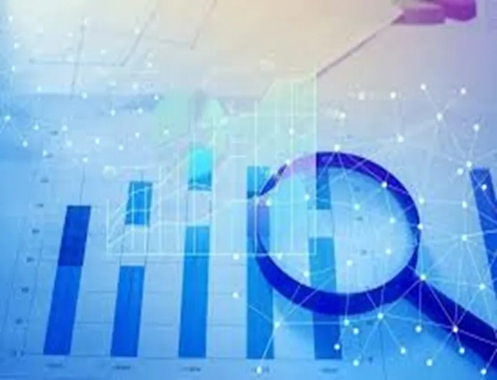 Internal Control Environment Program